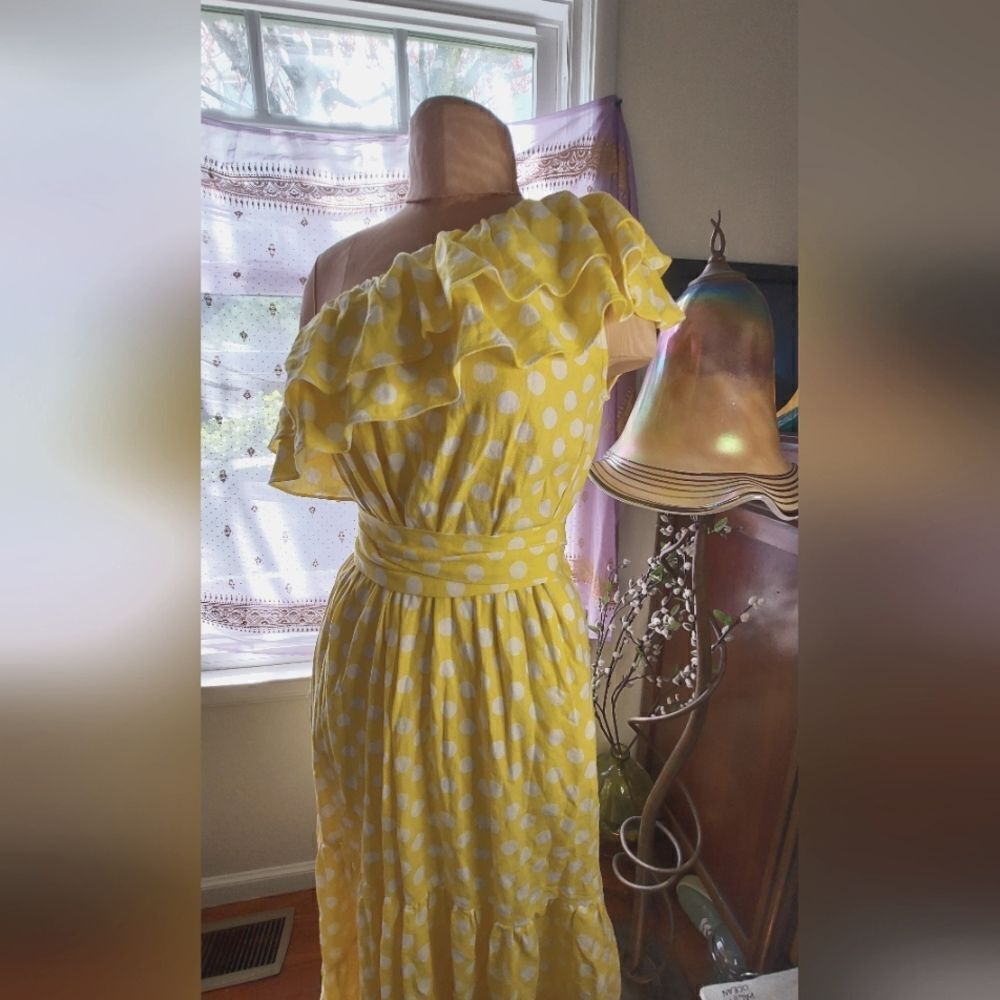 Lisa Marie Fernandez for Target Polka Dot Off Shoulder Dress Size XS - Picture 4 of 7